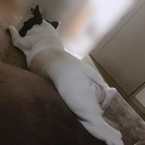 齋藤 冬優花｜朝。🔆（2020-06-14）｜3枚目