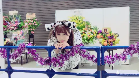 齋藤 冬優花｜#風に吹かれても#個別握手会#京都(583)（2017-11-06）