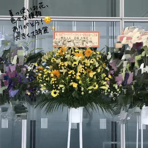 齋藤 冬優花｜8月19日(853)（2018-08-20）｜4枚目