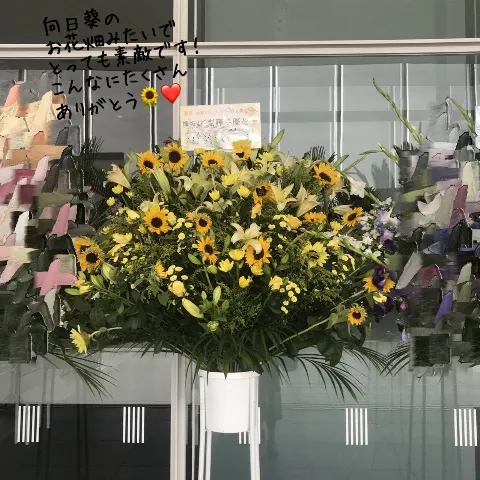 齋藤 冬優花｜8月19日(853)（2018-08-20）｜6枚目