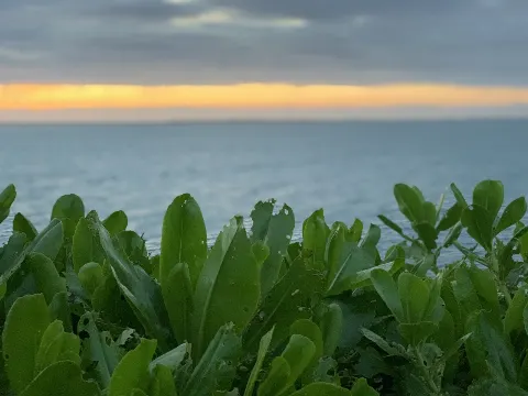 齋藤 冬優花｜7月22日(1208)【セカアイの北海道に行きたい】（2019-07-23）