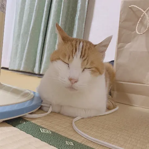 齋藤 冬優花｜10月7日(1285)【何時間睡眠ですか?】（2019-10-10）