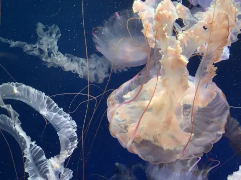齋藤 冬優花｜水族館（2020-02-23）｜2枚目
