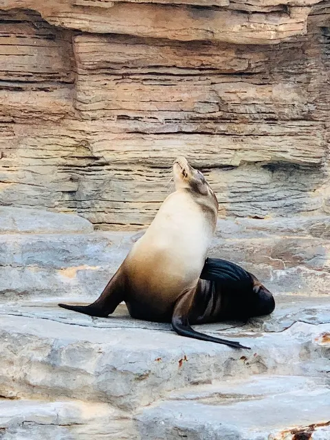 齋藤 冬優花｜水族館（2020-02-23）｜5枚目
