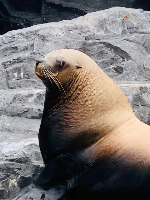 齋藤 冬優花｜水族館（2020-02-23）｜6枚目