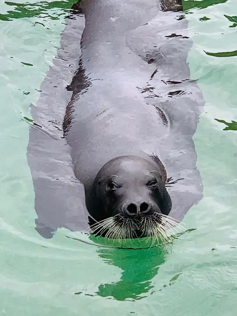 齋藤 冬優花｜水族館（2020-02-23）｜7枚目