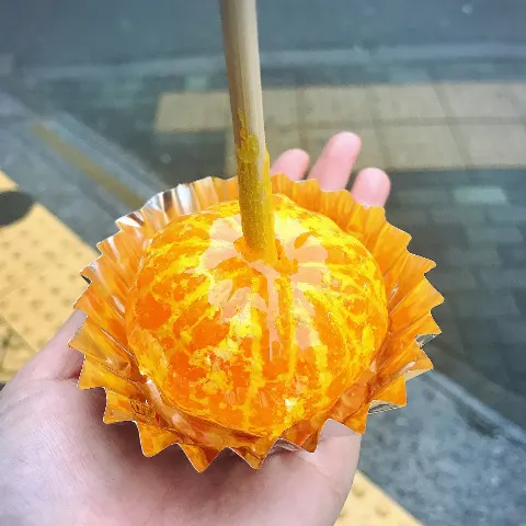 齋藤 冬優花｜11月25日(955)（2018-11-26）
