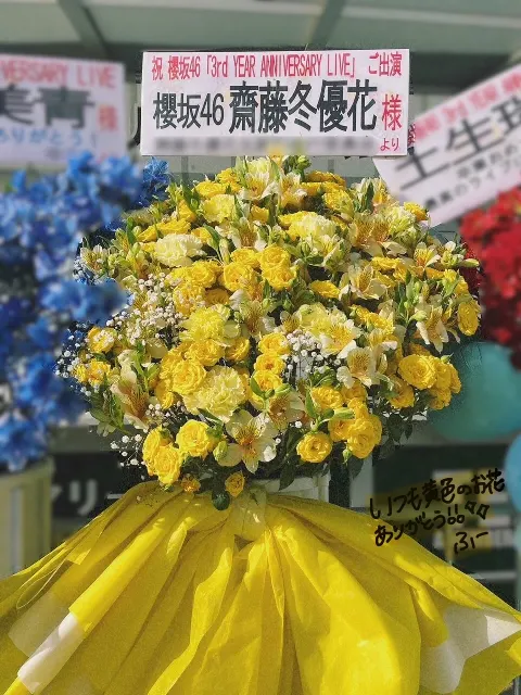 齋藤 冬優花｜(無題)（2023-11-29）｜16枚目