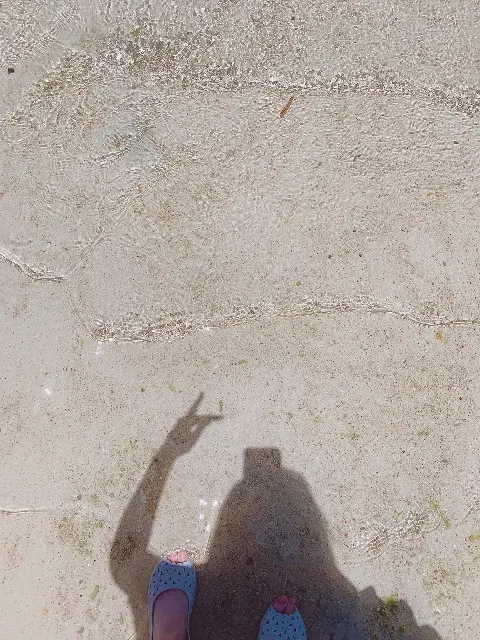 齋藤 冬優花｜Jan.22*1392☃️海外（2020-01-23）