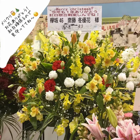 齋藤 冬優花｜12月24日(982)（2018-12-25）｜8枚目