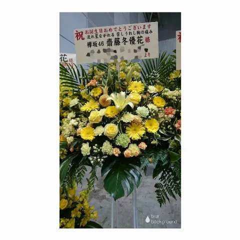 齋藤 冬優花｜祝花(　˙-˙　)❁420（2017-02-20）｜3枚目