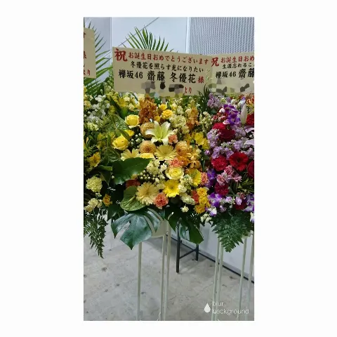 齋藤 冬優花｜祝花(　˙-˙　)❁420（2017-02-20）｜9枚目