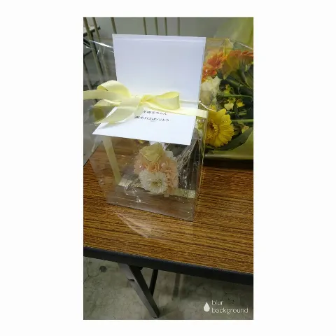 齋藤 冬優花｜祝花(　˙-˙　)❁420（2017-02-20）｜11枚目