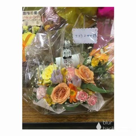 齋藤 冬優花｜祝花(　˙-˙　)❁420（2017-02-20）｜16枚目