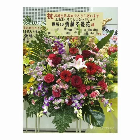 齋藤 冬優花｜祝花(　˙-˙　)❁420（2017-02-20）｜18枚目