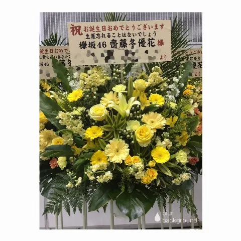 齋藤 冬優花｜祝花(　˙-˙　)❁420（2017-02-20）｜19枚目
