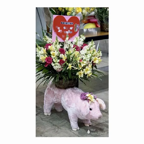 齋藤 冬優花｜祝花(　˙-˙　)❁420（2017-02-20）｜20枚目