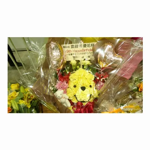 齋藤 冬優花｜祝花(　˙-˙　)❁420（2017-02-20）｜21枚目
