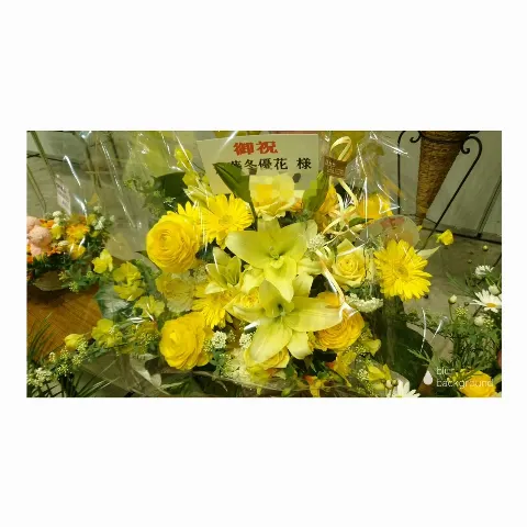 齋藤 冬優花｜祝花(　˙-˙　)❁420（2017-02-20）｜22枚目