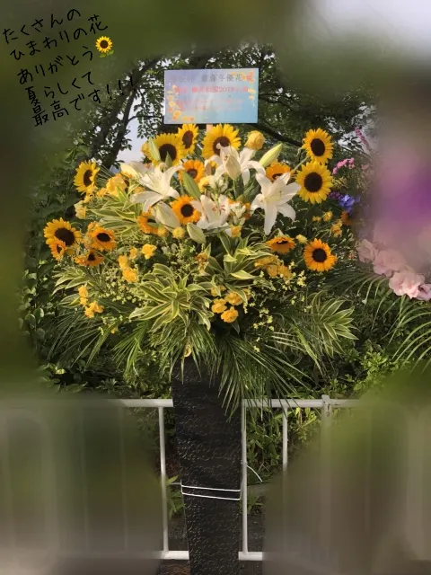 齋藤 冬優花｜7月23日(826)（2018-07-25）｜4枚目