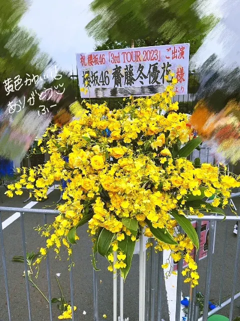 齋藤 冬優花｜(無題)（2023-04-15）｜5枚目