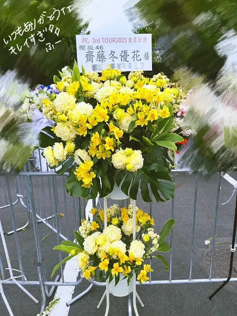 齋藤 冬優花｜(無題)（2023-04-15）｜6枚目