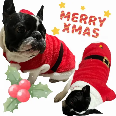 齋藤 冬優花｜ハッピーメリークリスマス🎄💝（2022-12-25）