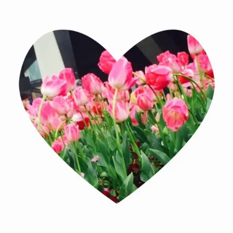 佐藤 詩織｜ひと足お先に…♡（2016-03-20）