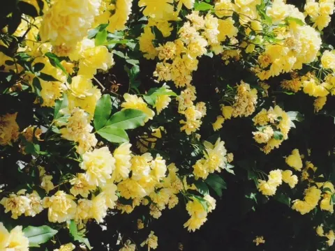 佐藤 詩織｜ささやかな幸せ。（2017-05-08）｜3枚目