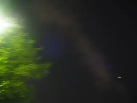 関 有美子｜🌸。（2020-10-31）