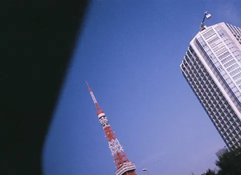 関 有美子｜🌸。（2020-11-16）