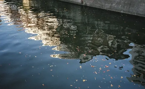 関 有美子｜🌸。（2020-11-16）｜2枚目
