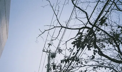 関 有美子｜🌸。（2020-11-16）｜3枚目