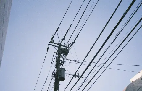 関 有美子｜🌸。（2020-11-16）｜5枚目