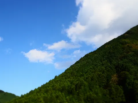 関 有美子｜🌸。（2020-11-19）｜4枚目