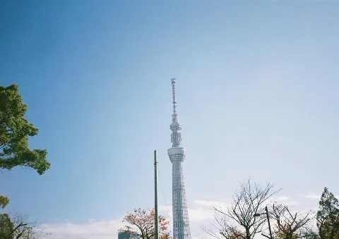 関 有美子｜🌸。（2020-11-24）｜3枚目