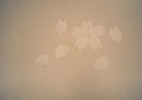 関 有美子｜🌸。（2020-12-12）｜11枚目