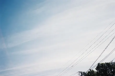 関 有美子｜🌸。（2021-01-05）｜5枚目