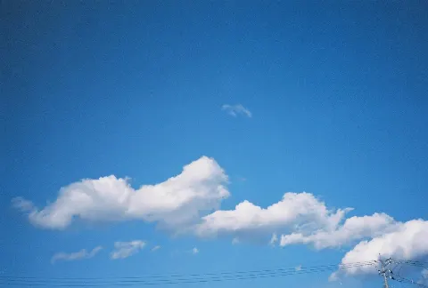 関 有美子｜🌸。（2021-02-27）｜8枚目