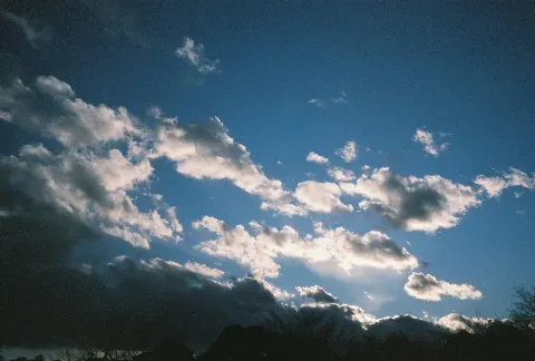 関 有美子｜🌸。（2021-03-24）