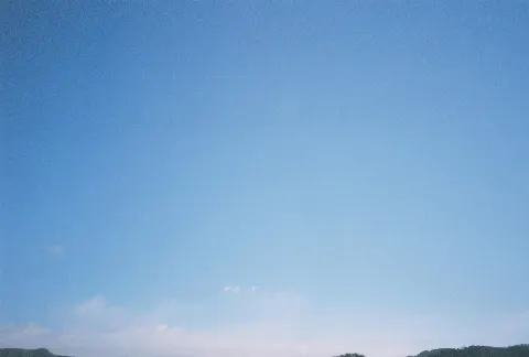 関 有美子｜🌸。（2021-03-24）｜5枚目
