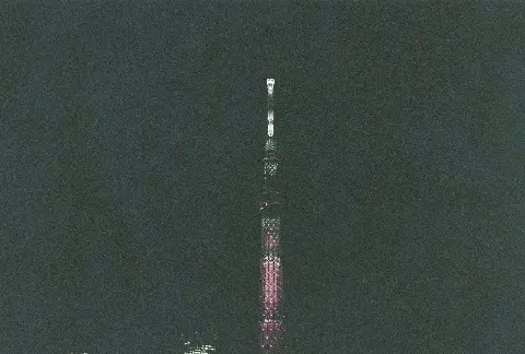 関 有美子｜🌸。（2021-04-28）