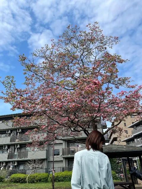 関 有美子｜🌸。（2021-04-29）