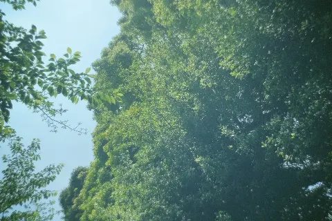 関 有美子｜🌸。（2021-05-28）