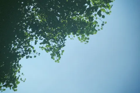 関 有美子｜🌸。（2021-05-28）｜2枚目