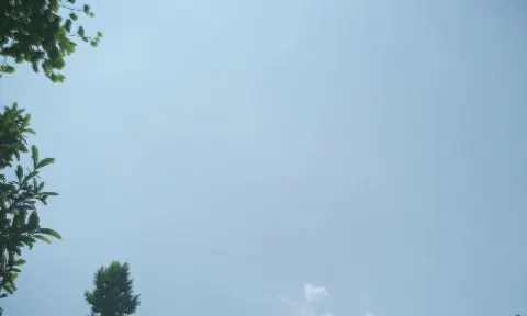 関 有美子｜🌸。（2021-06-08）