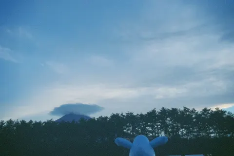 関 有美子｜🌸。（2021-07-24）｜15枚目