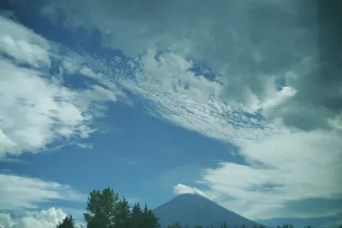 関 有美子｜🌸。（2021-07-24）｜16枚目