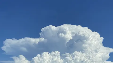 関 有美子｜🌸。（2021-08-03）｜4枚目