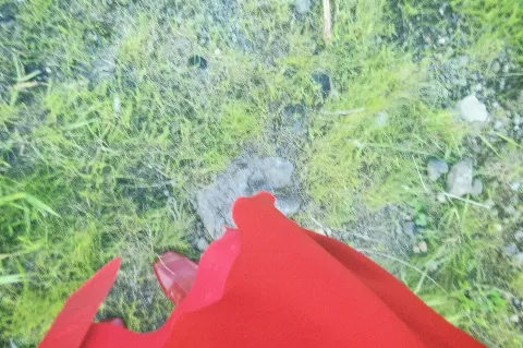 関 有美子｜🌸。（2021-09-01）｜4枚目